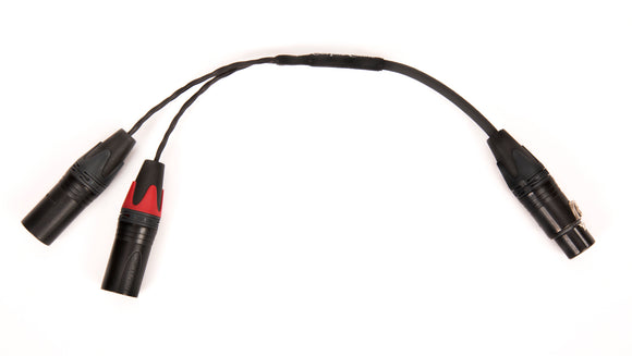 Custom Dual 3-Pin XLR Male to 4-Pin XLR Female GraveDigger Adapter for Bryston BHA-1 Headphone Amplifier