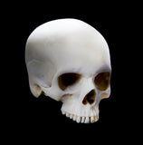 Corpse Cable floating skull logo